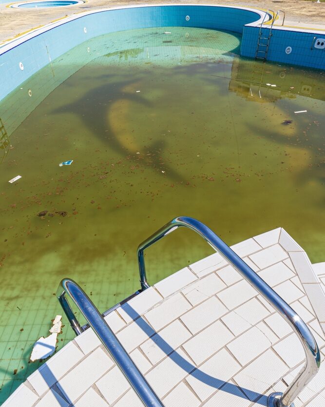 shutterstock 2037217583 e1765130207327