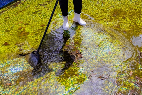 How to Remove Sediment From Pool Bottom | Singapore Pool Guide